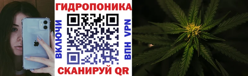 Названия наркотиков Якутск MEGA рабочий сайт  Галлюциногенные грибы  АМФЕТАМИН  Меф мяу мяу  Конопля  ГАШИШ 