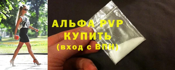 сатива Новокубанск