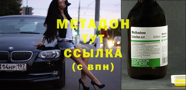 сатива Новокубанск