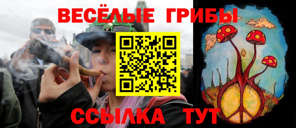 Галлюциногенные грибы GOLDEN TEACHER Якутск